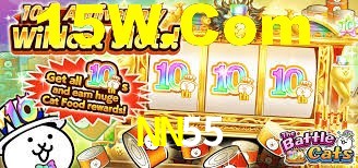 NN55