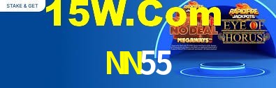 NN55 App Interface